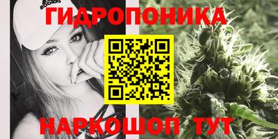бошки Севастополь