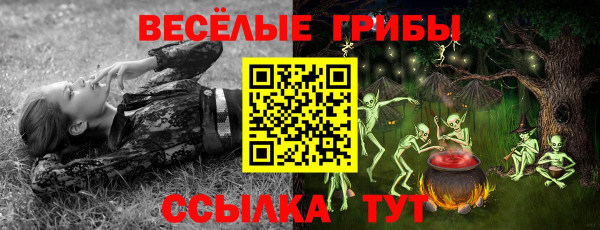 Псилоцибиновые грибы Magic Shrooms  Вход с VPN  Орехово-Зуево 